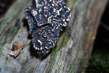 Apple Tree Bark Copper Pendant with Raw Pencil Tourmaline