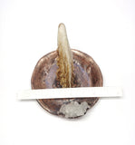 Copper Ring Holder Dish with Antler and Crystal Cluster