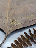 Witch's Flight Over Mushroom Hollow Painting on Pressed Leaf