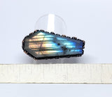 Labradorite Coffin Ring Size 8