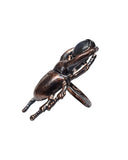 Copper Beetle Ring with labradorite Size 5 3/4