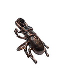 Copper Beetle Ring with Rose Cut White Topaz Ring Size 7 1/4