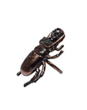Copper Beetle Ring with Rose Cut White Topaz Ring Size 7 1/4