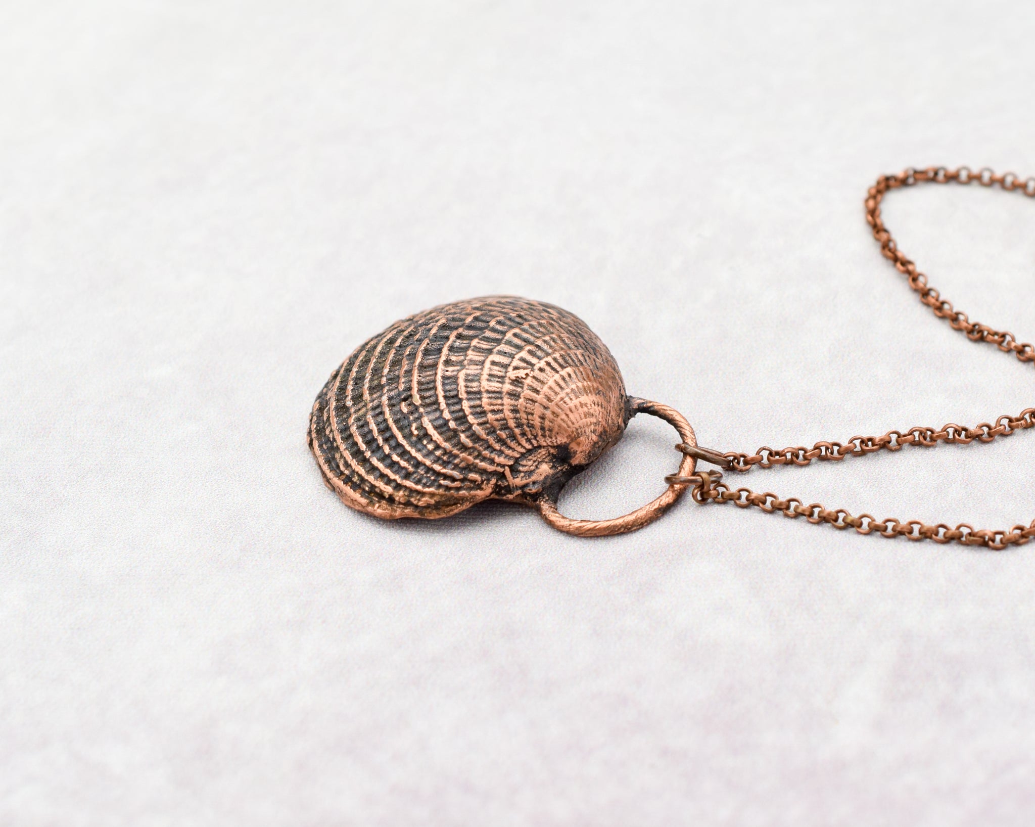 Barcelona Spain Mediterranean Sea Shell Copper Necklace – The Wacky ...