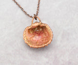 barcelona sea shell coated in resin