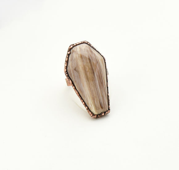 Petrified Wood Coffin Ring Size 10