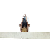 Fossil Palm Root Ring Size 7