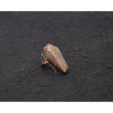Coffin Ring with Petrified Wood Size 10 bank size 1/8 inch
